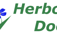 cropped-Logo-Herbolarios-Doemi-3